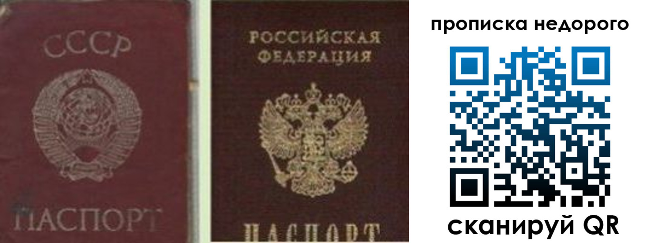 временная регистрация поиск в Апатитах